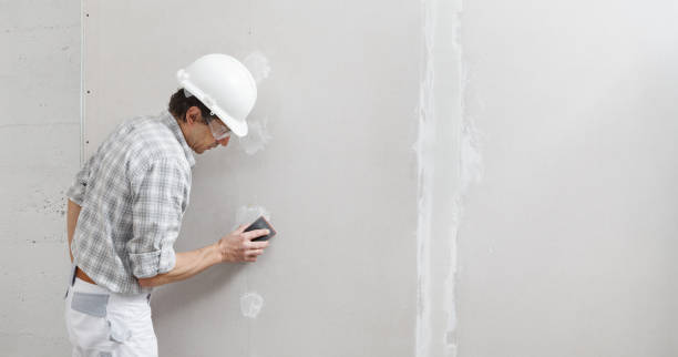 Best Comprehensive Air Testing for Mold Contaminants  in Rio Rancho Estates, NM