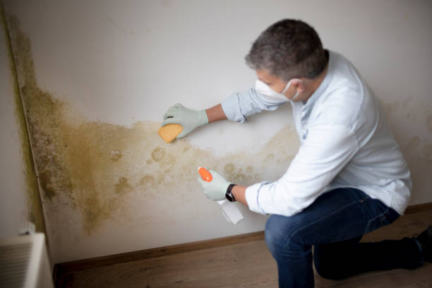 Mold Removal for HVAC Installations in Rio Rancho Estates, NM